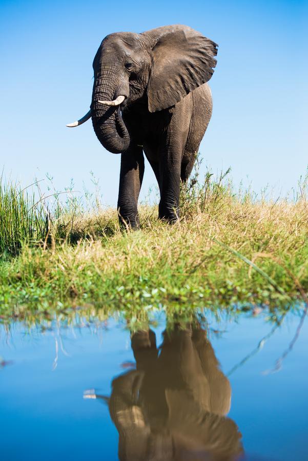 Royal Zambezi Lodge Mafuta エクステリア 写真